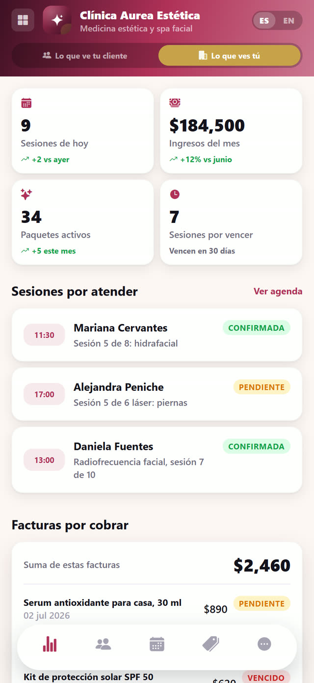 Sesiones de hoy, ingresos del mes, paquetes activos y por vencer.